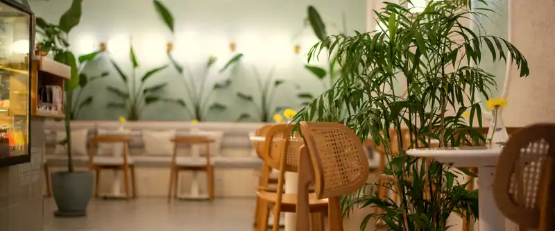 Scaune din lemn și ratan între plante mari, într-o sală luminoasă